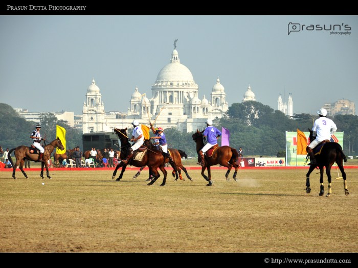 Polo Match