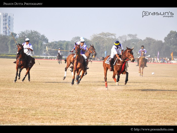Polo Match