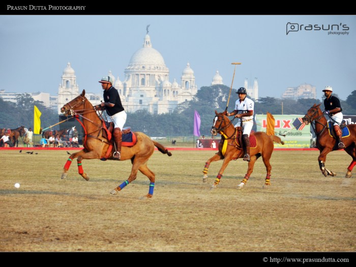 Polo Match