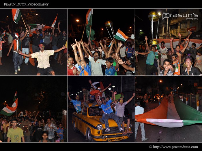 Cricket World Cup 2011 - Celebration