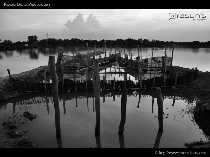 Kharibari Fishery Kharibari Fishery
