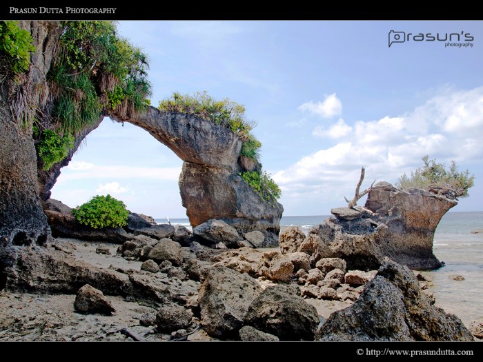 Naturally Built Coral Bridge