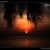 Havlock Sunrise